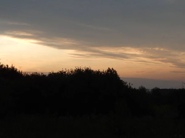 黄昏时自然森林和田野上的日落 — 图库照片