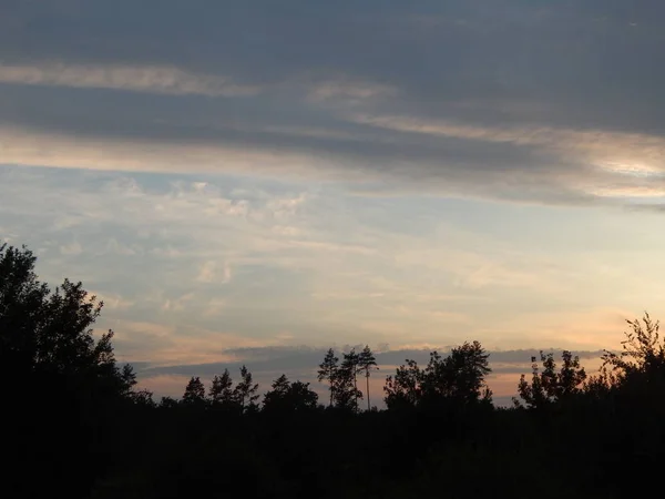 Sonnenuntergang Über Wald Und Feldern Der Abenddämmerung — Stockfoto
