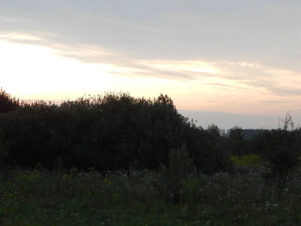 Sonnenuntergang Über Wald Und Feldern Der Abenddämmerung — Stockfoto