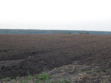 Alacakaranlıkta doğa orman ve alanları günbatımı