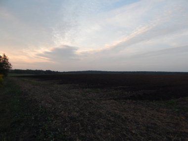 Alacakaranlıkta doğa orman ve alanları günbatımı