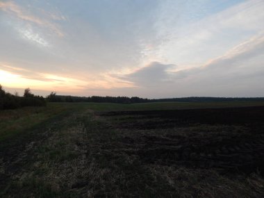 Alacakaranlıkta doğa orman ve alanları günbatımı