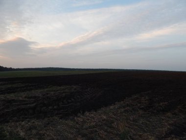 Alacakaranlıkta doğa orman ve alanları günbatımı