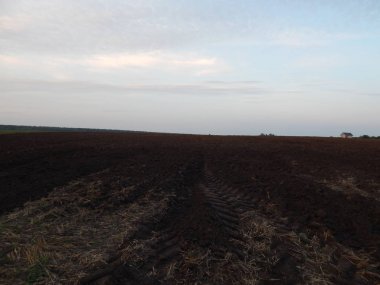 Alacakaranlıkta doğa orman ve alanları günbatımı