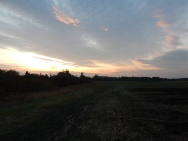 Alacakaranlıkta doğa orman ve alanları günbatımı