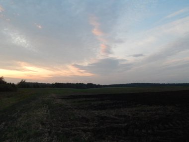 Alacakaranlıkta doğa orman ve alanları günbatımı