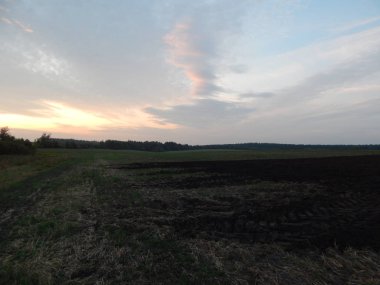 Alacakaranlıkta doğa orman ve alanları günbatımı