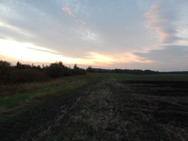 Alacakaranlıkta doğa orman ve alanları günbatımı
