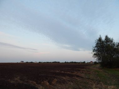 Alacakaranlıkta doğa orman ve alanları günbatımı