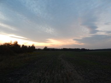 Alacakaranlıkta doğa orman ve alanları günbatımı