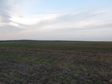 Alacakaranlıkta doğa orman ve alanları günbatımı