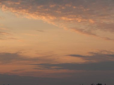 Alacakaranlıkta doğa orman ve alanları günbatımı