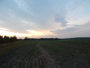 Alacakaranlıkta doğa orman ve alanları günbatımı