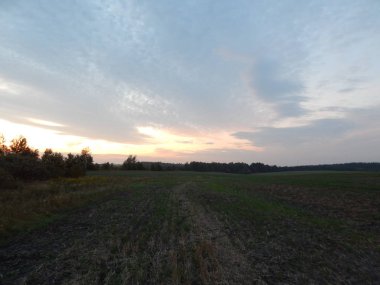 Alacakaranlıkta doğa orman ve alanları günbatımı