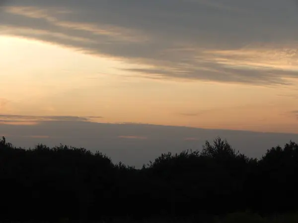 夕暮れ時に自然の森やフィールドの夕日 — ストック写真