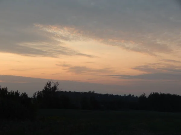 Sonnenuntergang Über Wald Und Feldern Der Abenddämmerung — Stockfoto