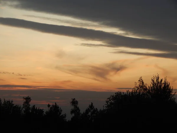 Pôr Sol Floresta Natureza Campos Entardecer — Fotografia de Stock