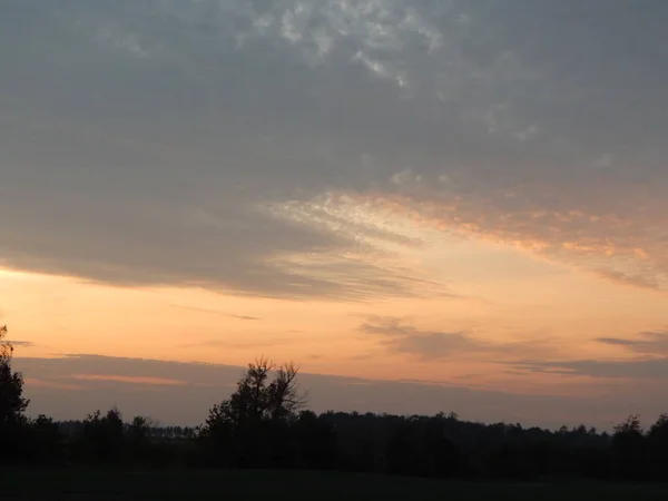 Sonnenuntergang Über Wald Und Feldern Der Abenddämmerung — Stockfoto