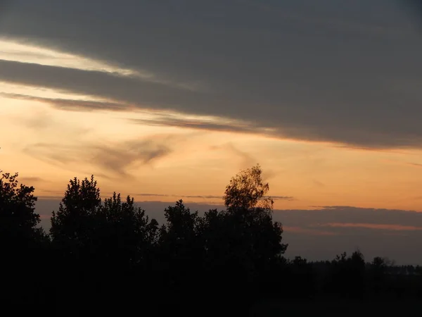 Захід Сонця Природі Ліс Полів Сутінках — стокове фото