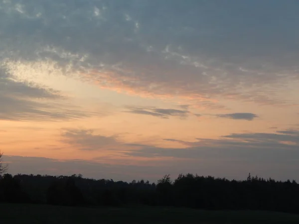 夕暮れ時に自然の森やフィールドの夕日 — ストック写真