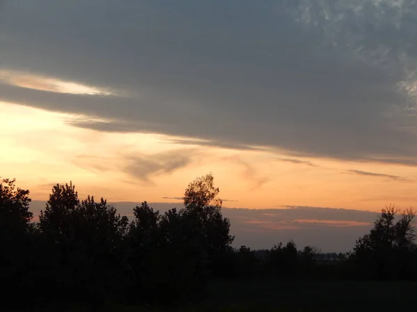 Sonnenuntergang Über Wald Und Feldern Der Abenddämmerung — Stockfoto