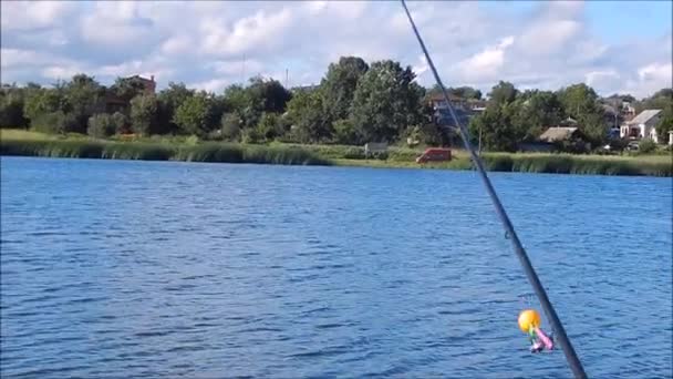 Pesca Sul Lago Pesce Fiume — Video Stock