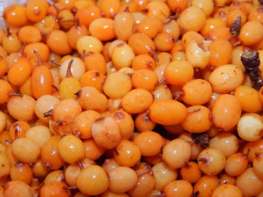 Sarı deniz dikeni dokusu