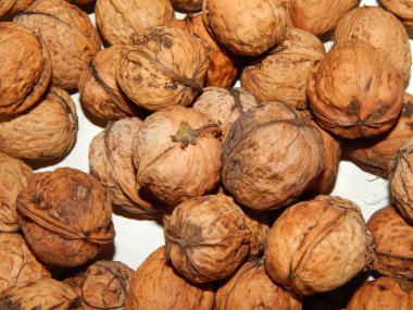 Sebze el ve arka ülkede