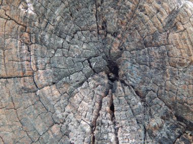 Doku ve inşaat malzemeleri