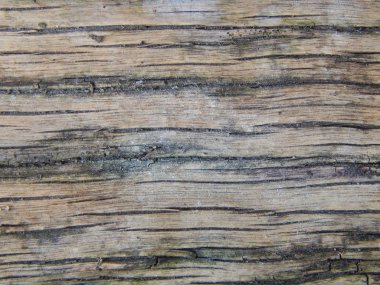 Doku ve inşaat malzemeleri