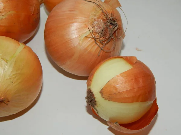 Primer Plano Cebolla Con Cáscara — Foto de Stock