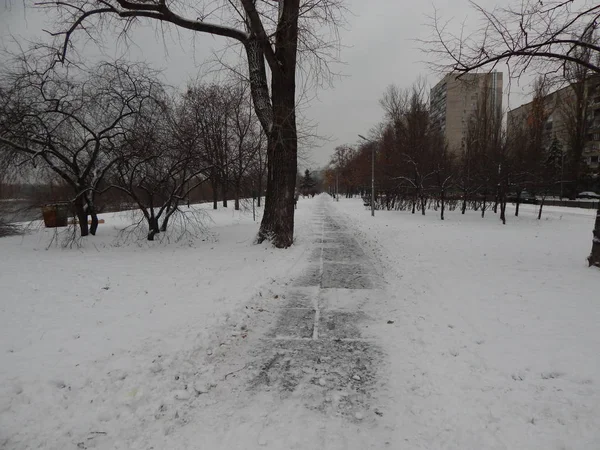 Зимовий пейзаж білосніжний і предмети ландшафту — стокове фото