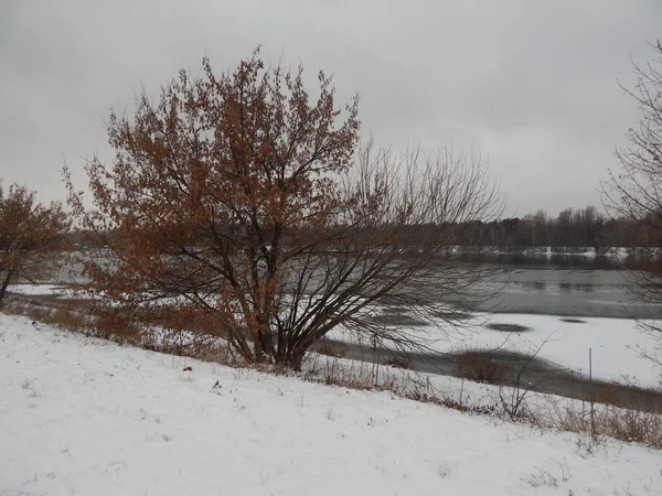 Зимний пейзаж белоснежки и объекты ландшафта — стоковое фото