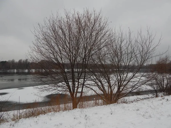 Winter landscape of snow white and the objects of the landscape — Stock Photo, Image