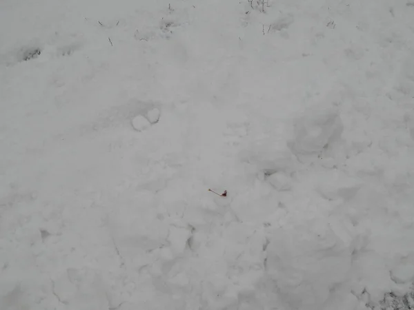Зимняя Текстура Снег Белый Фон Объекты — стоковое фото
