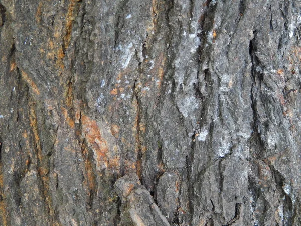 Doku ve inşaat malzemeleri