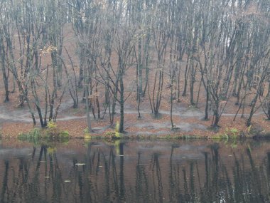Park geç sonbahar yaprakları ve hayvanlar
