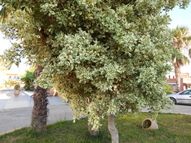 Yunanistan'ın Girit Adası dağlar ve deniz üzerinde seyahat