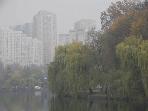 Park Késő Őszi Levelek Állatok — Stock Fotó