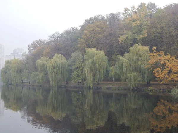 Парк Поздней Осени Листья Животные — стоковое фото