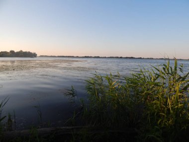 Nehir panorama arka plan ve manzara sahil