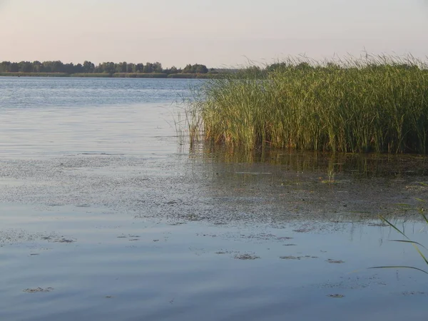 Flusspanorama Hintergrund Und Landschaft Küste — Stockfoto