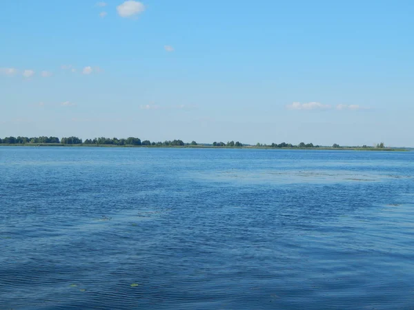 Fleuve Panorama Arrière Plan Paysage Côte — Photo