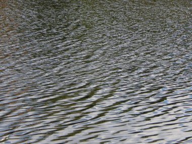 Su doku nehir yüzeyinde ripples