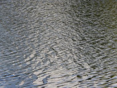 Su doku nehir yüzeyinde ripples