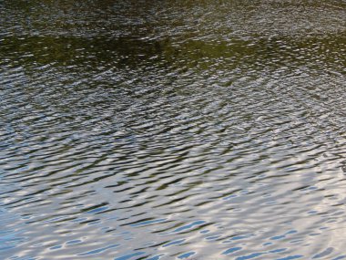 Su doku nehir yüzeyinde ripples