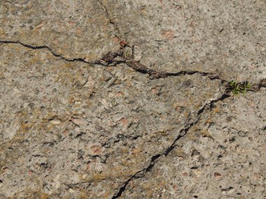 Beton ve duvarlar doku