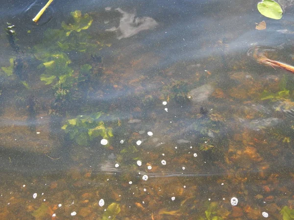 Texture Delle Increspature Acqua Sulla Superficie Del Fiume — Foto Stock