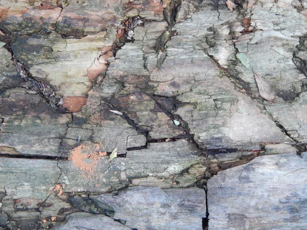 Textura Starého Dřeva Výrobků — Stock fotografie