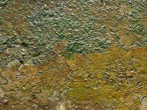 Teksturę Betonu Murów — Zdjęcie stockowe